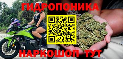 мет Дубна