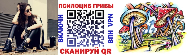 МЕГА как войти  Карталы  Псилоцибиновые грибы прущие грибы 