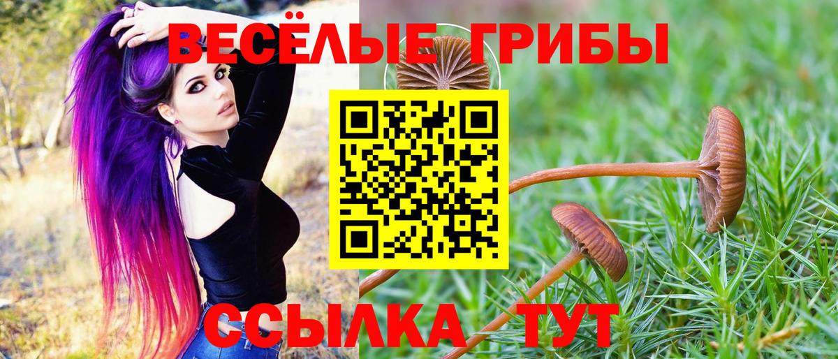 Псилоцибиновые грибы GOLDEN TEACHER  Вход с VPN  Карталы  купить  цена  Галлюциногенные грибы мухоморы 