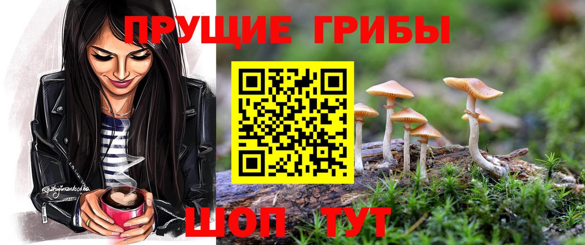 Галлюциногенные грибы мухоморы Карталы